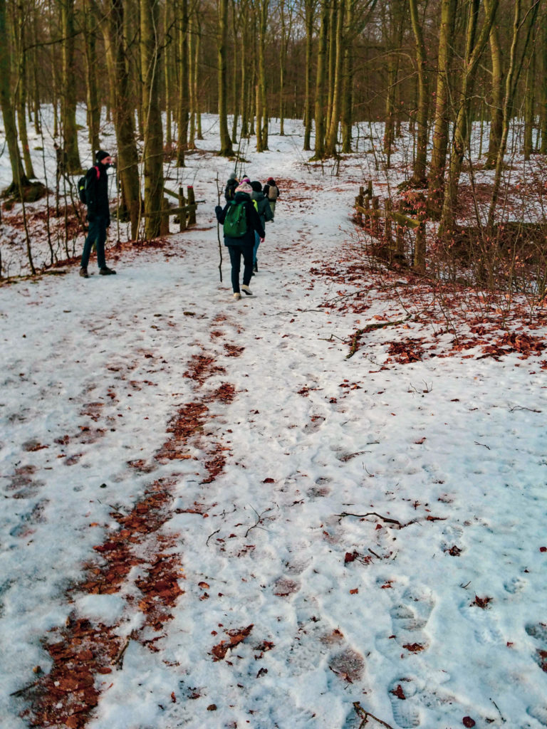 A Winter Hike in Söderåsen National Park, Sweden