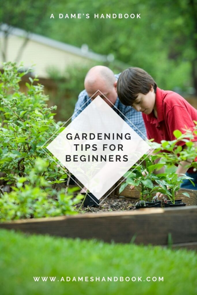 gardening tips 